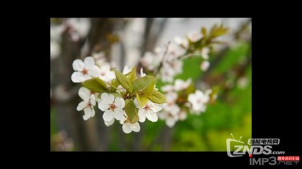 芒果月光宝盒开博尔H10评测:配最新秋香系统