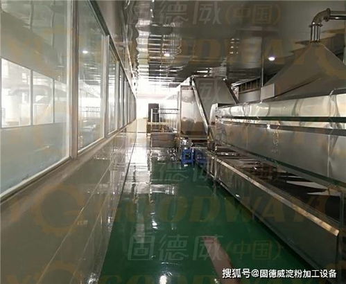 关于红薯粉条机设备的选择应用,用户比较关心的几个问题