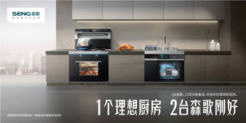 冠军的理想厨房需要具备哪些核心要素 国民品质2台森歌刚好