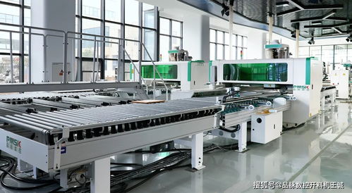 今天,他来了 板式家具工厂又一利器 六面钻多机连线智能高效钻孔单元